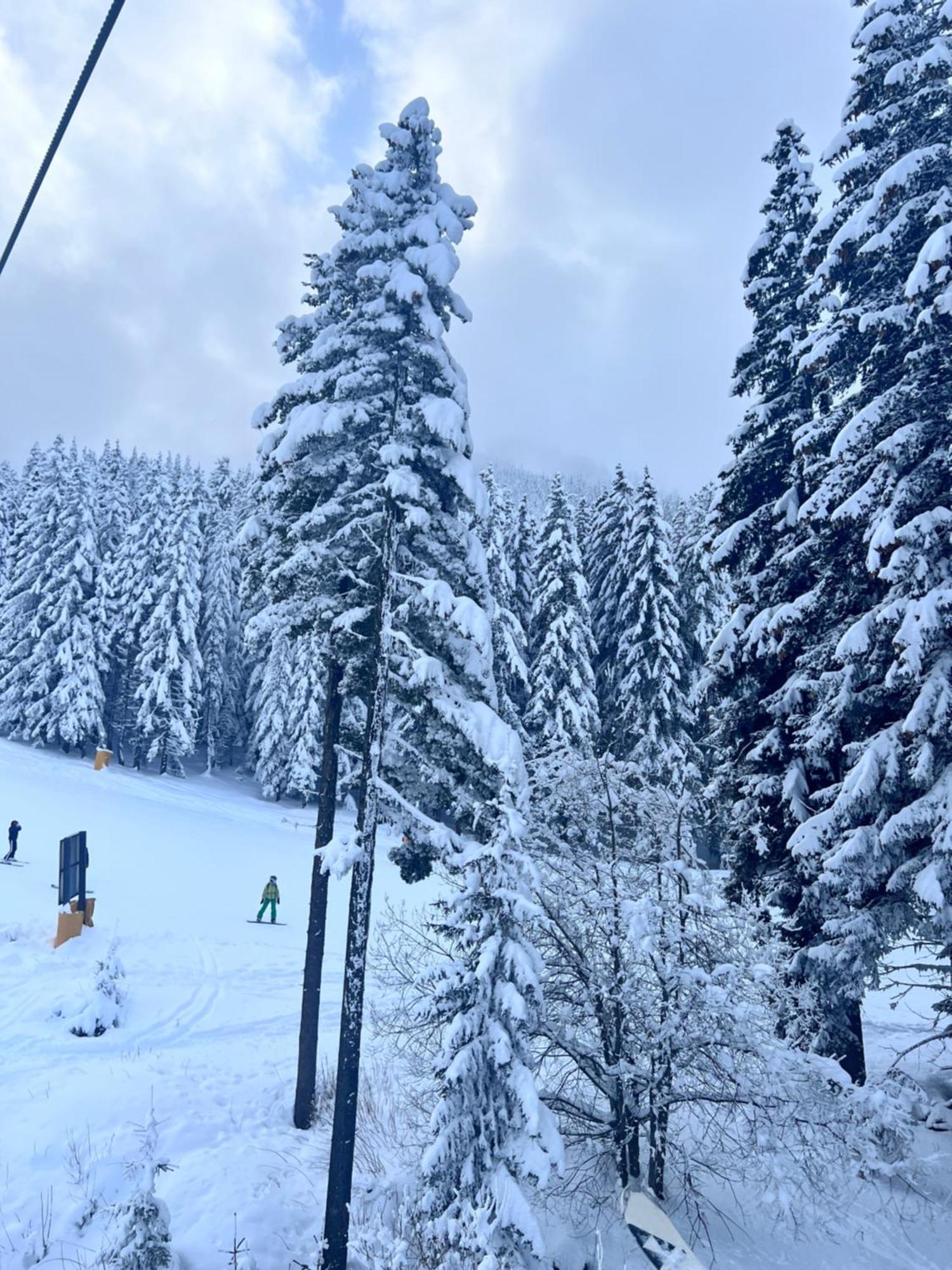Dimitri Apartament Emerald , Near Gondola Bansko Exterior foto