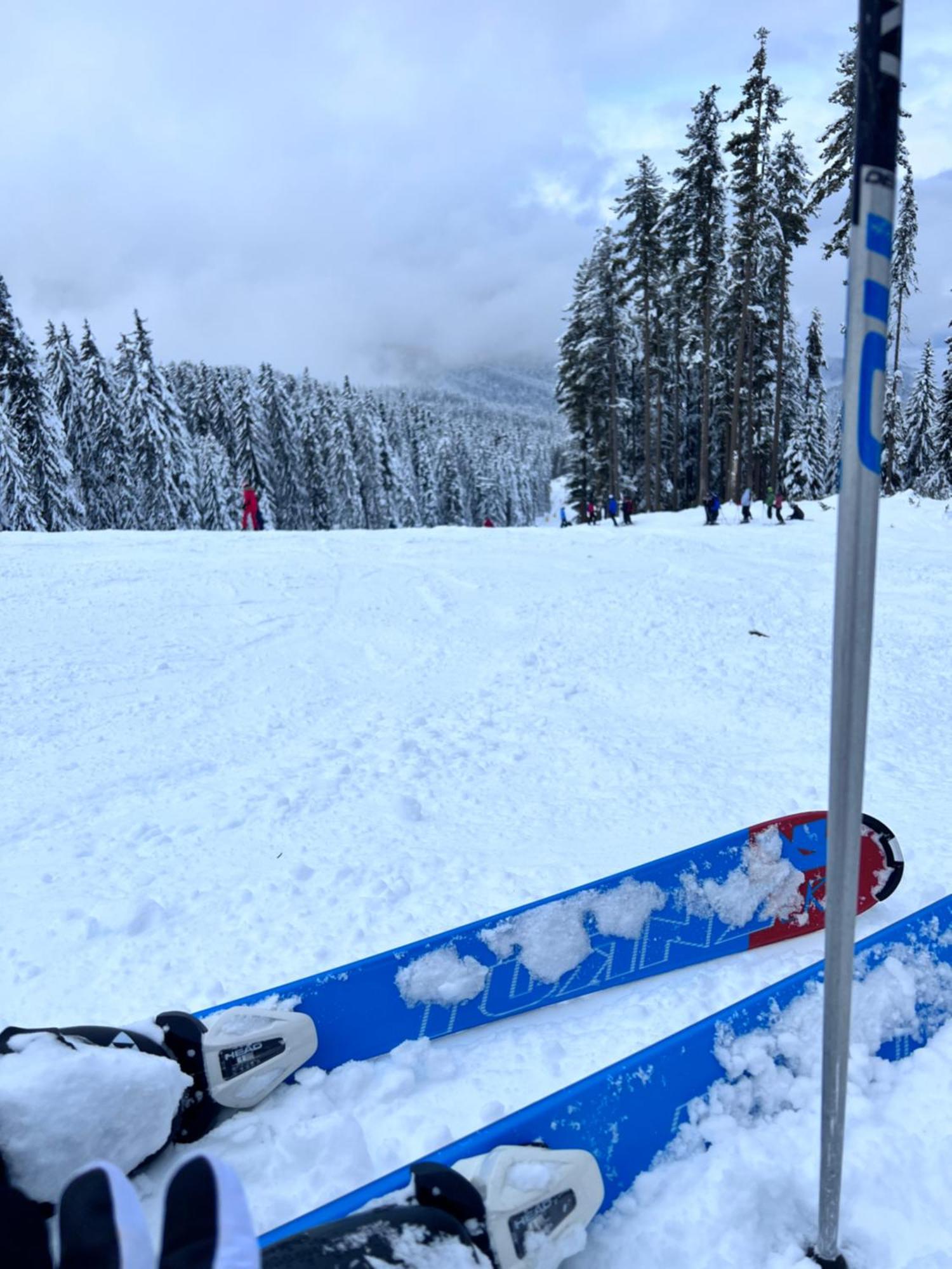 Dimitri Apartament Emerald , Near Gondola Bansko Exterior foto