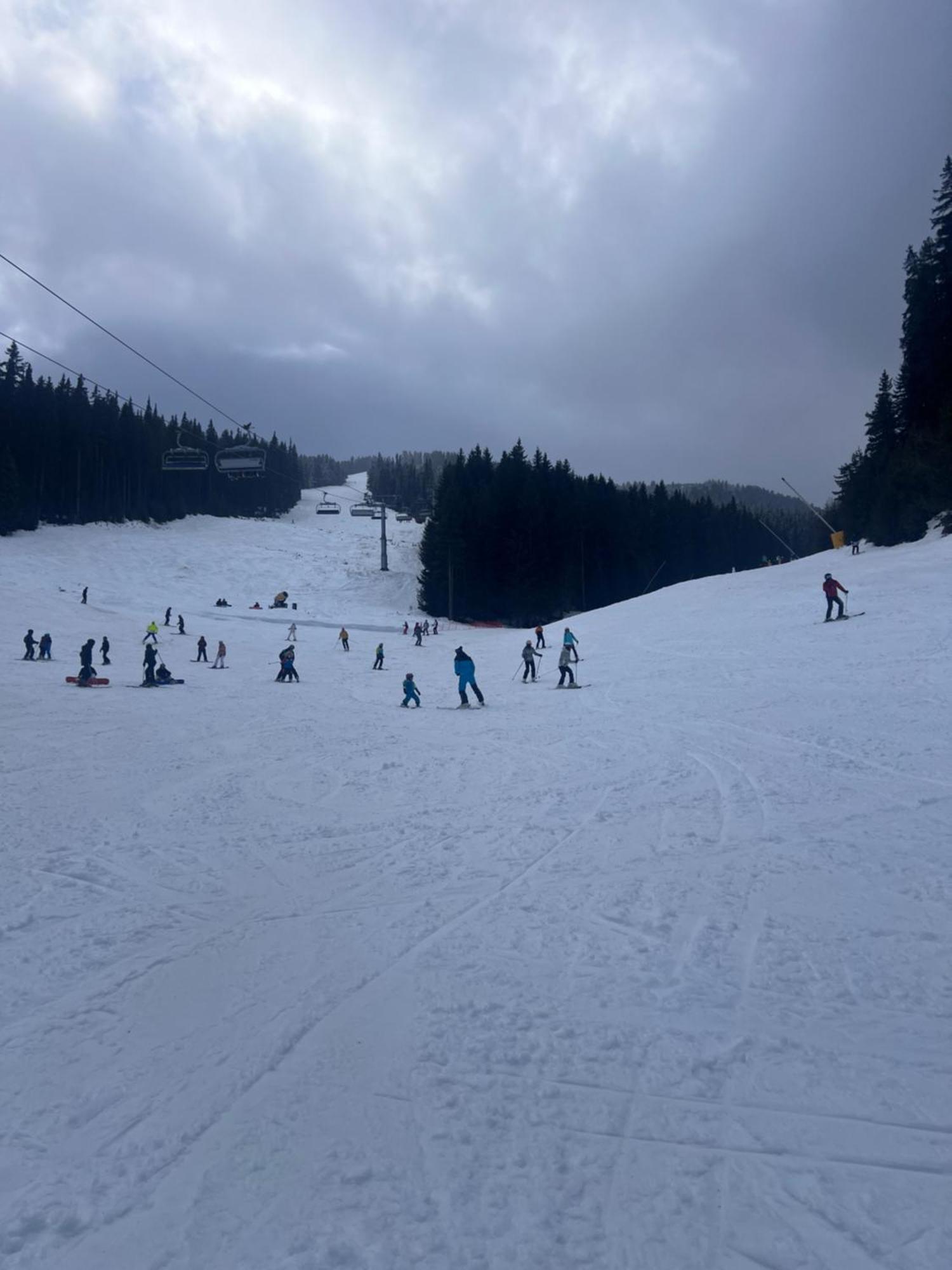 Dimitri Apartament Emerald , Near Gondola Bansko Exterior foto
